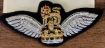 Picture of The Army Air Corps No1 Dress - Pilot Wings - Tudor Crown