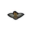 Picture of The Army Air Corps Mess Dress - Officers Wings - Tudor Crown