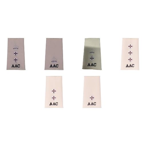 Picture of Army Air Corps Comm. Officer Rank Slides - Parchment