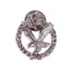 Picture of AAC Regimental Lapel Pin