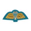 Picture of Mess Dress - Qualification Badge - Para Wing - Gold on Blue