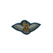Picture of The Army Air Corps Mess Dress - SNCO Pilot Wings with Cambridge Blue B/G - Tudor Crown