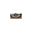 Picture of The Army Air Corps No1 Dress - Pilot Wings - Tudor Crown